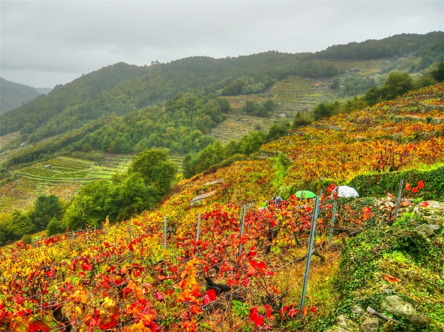 Fotografía del embalse del Atazar.
